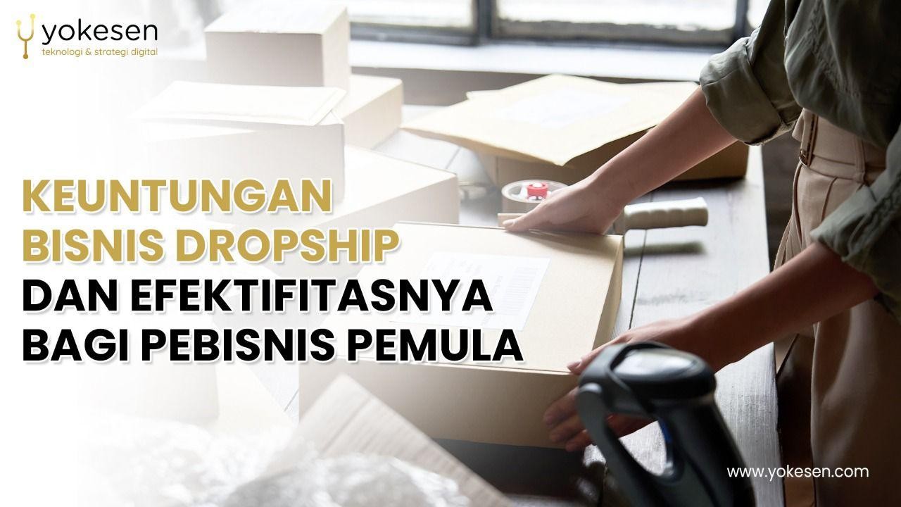 Keuntungan Bisnis Dropship dan Efektifitasnya Bagi Pebisnis Pemula